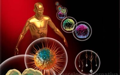 Cloruro de Magnesio para problemas de espalda