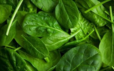 6 ALIMENTOS Y DIETA PARA MEJORAR EL HIGADO