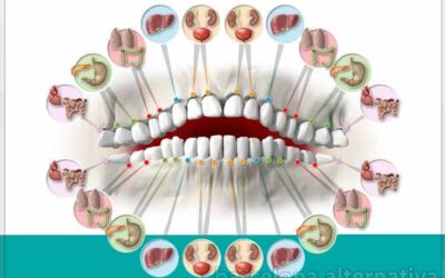 A cada diente su emoción