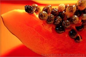 REGULA TU INTESTINO CON SEMILLAS DE PAPAYA