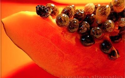 Regula tu intestino con Semillas de Papaya