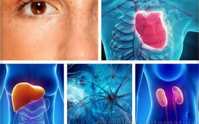 LAS 10 PARTES DEL CUERPO MAS SENSIBLES AL STRESS