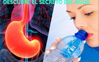 La importancia de beber agua