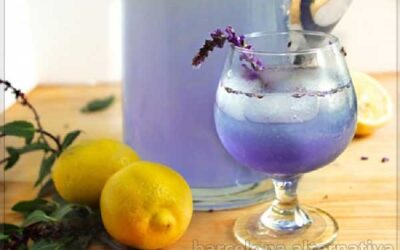 ANTI-ANSIEDAD NATURAL: AGUA DE LAVANDA CON LIMÓN