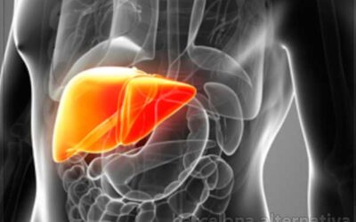 Infusiones para la cirrosis hepática