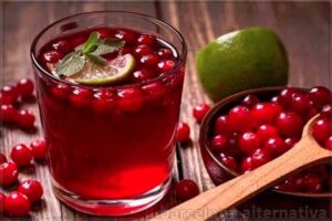 arándanos rojos