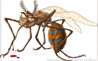 CÓMO EVITAR EL CONTAGIO DE PICADURA DEL MOSQUITO TIGRE