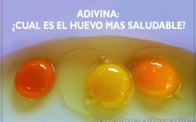 Huevos saludables ¿Sabes lo que comes?