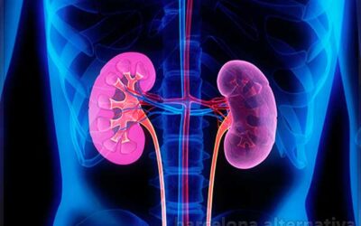 Dieta recomendada si sufres un proceso renal