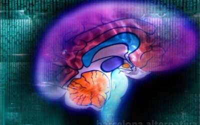 5 TÉCNICAS QUE REFRESCARAN TU CEREBRO