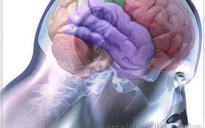 Switch: Re-programa tu cerebro