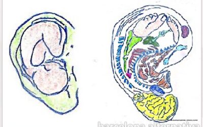 TÉCNICA PARA CURARSE CON LA OREJA