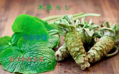10 palabras japonesas que no existen en español