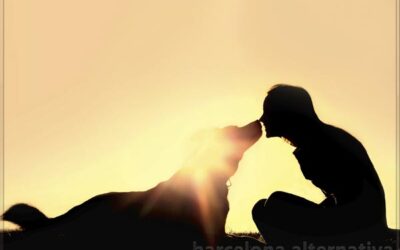 Los perros vienen a enseñar el amor incondicional