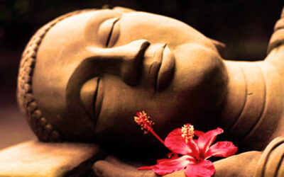 ¿ERES UN MAESTRO DORMIDO? DESCUBRELO