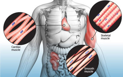 5 SEÑALES DE ALERTA QUE TE DA LA FIBROMIALGIA