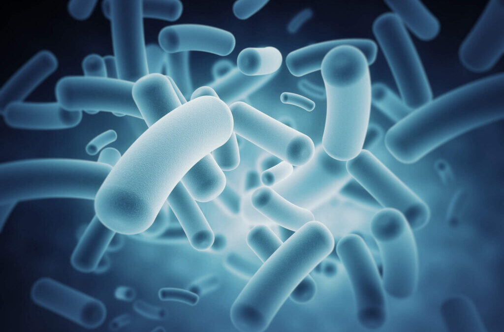 Los microbios que mantienen tu figura