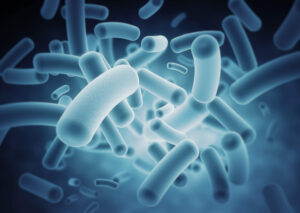 Los microbios que mantienen tu figura